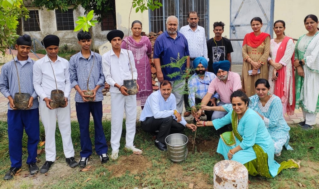 State Bank Samundra celebrated the foundation day of State Bank by planting saplings at Dhamai School